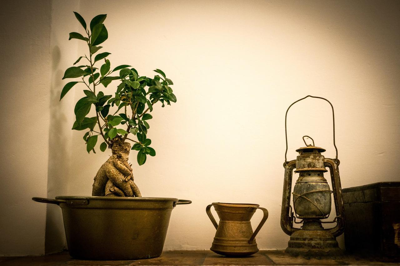 Bed and Breakfast Dimora Amina Loreto Aprutino Esterno foto